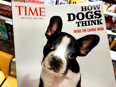 Dogs Think Humans Are Weird