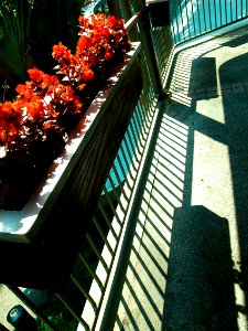 Ricoh 3 GRD