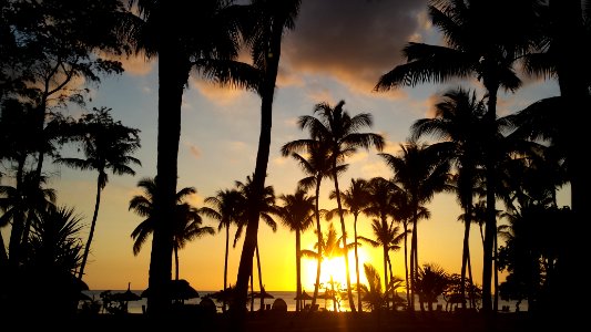 Flic en Flac Beach Mauritius
