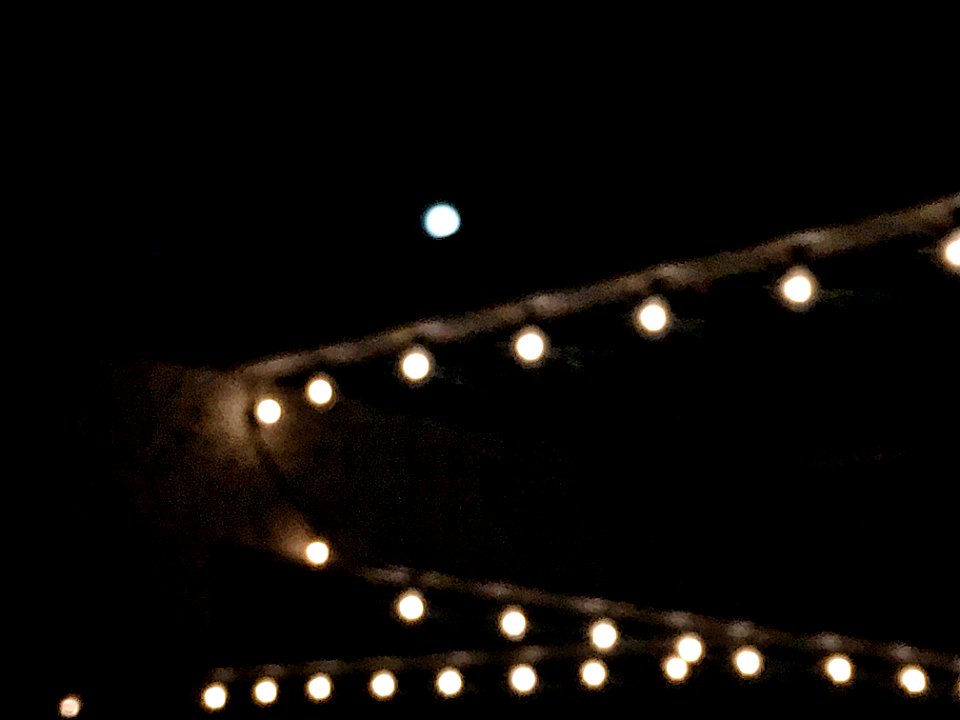 Bulbs May Be Brighter Than They Appear