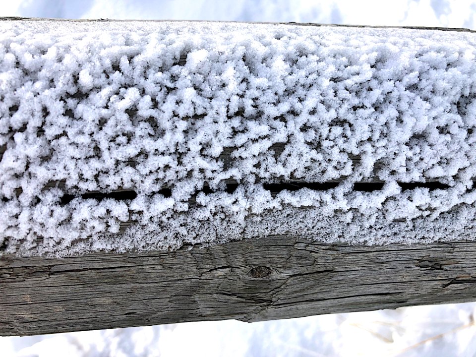 Frosted Fence Beam