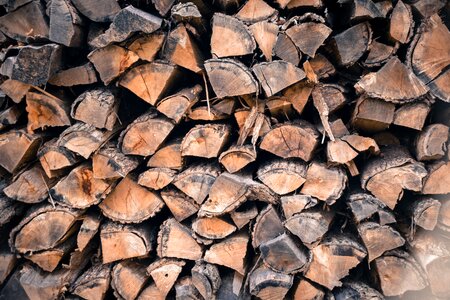 Combustible firewood fuel photo
