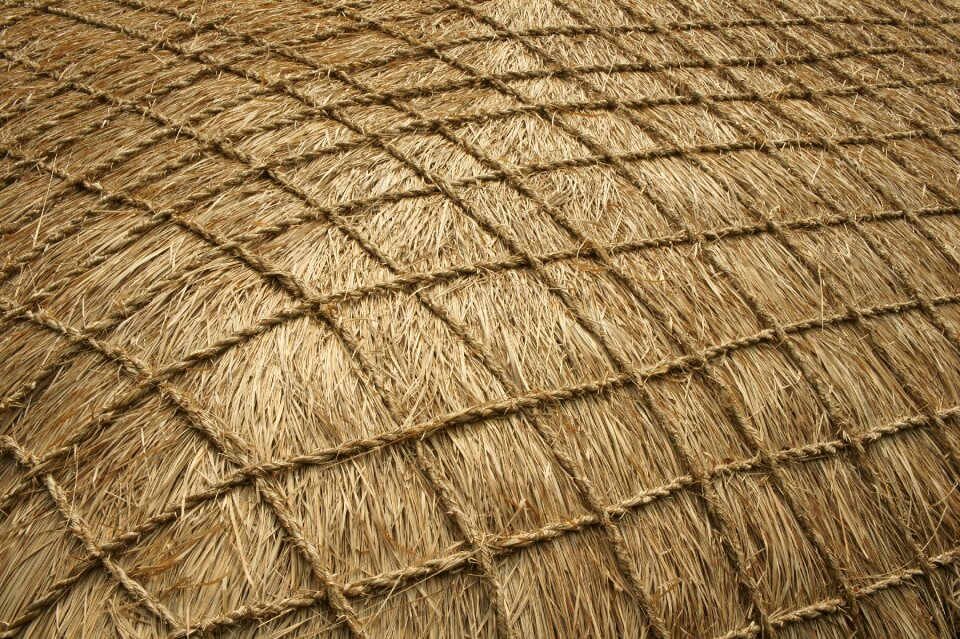 Texture asshole roof