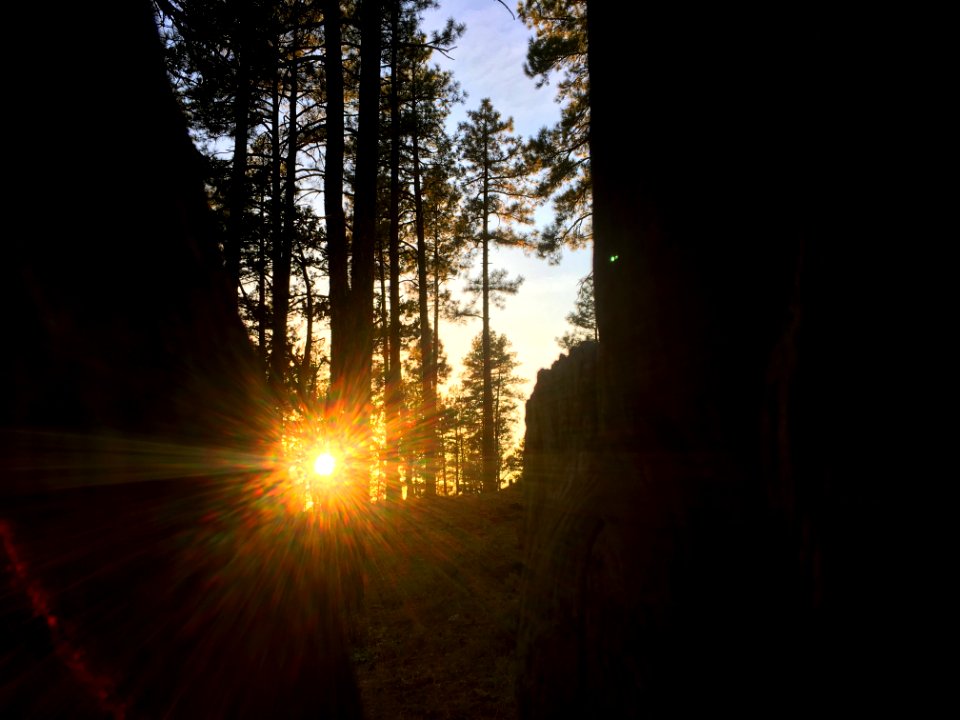 Catch A Falling Sun