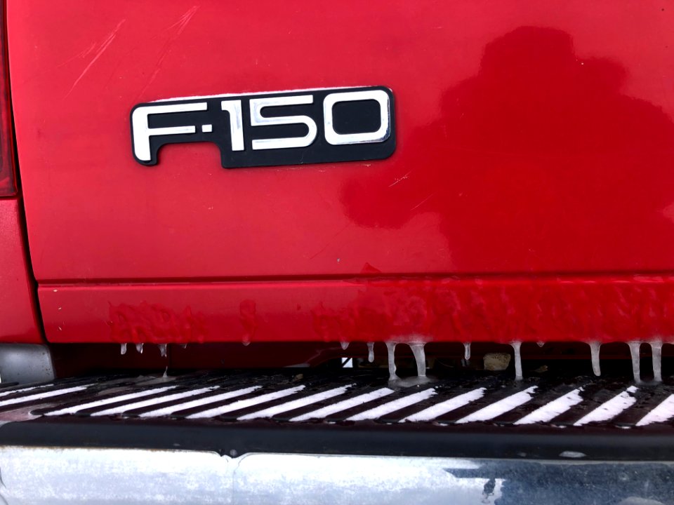 Unintended Ford Selfie