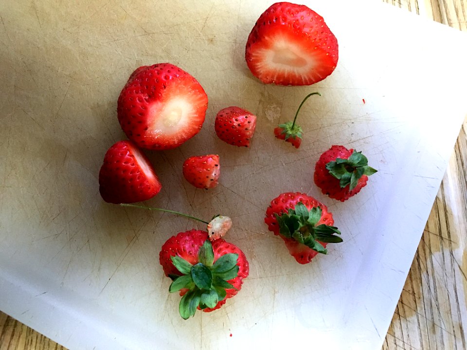 Two Grew in my Garden, The Rest Came in a Plastic Box