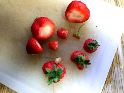 Two Grew in my Garden, The Rest Came in a Plastic Box