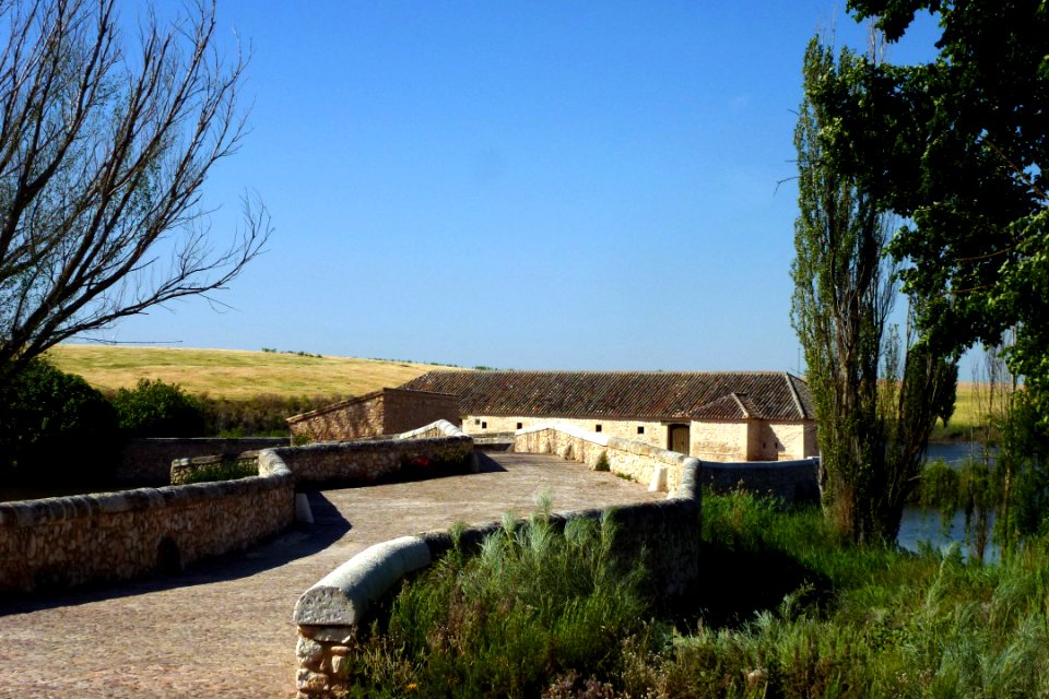 TABLAS DE DAIMIEL, (CIUDAD REAL). SPAIN.