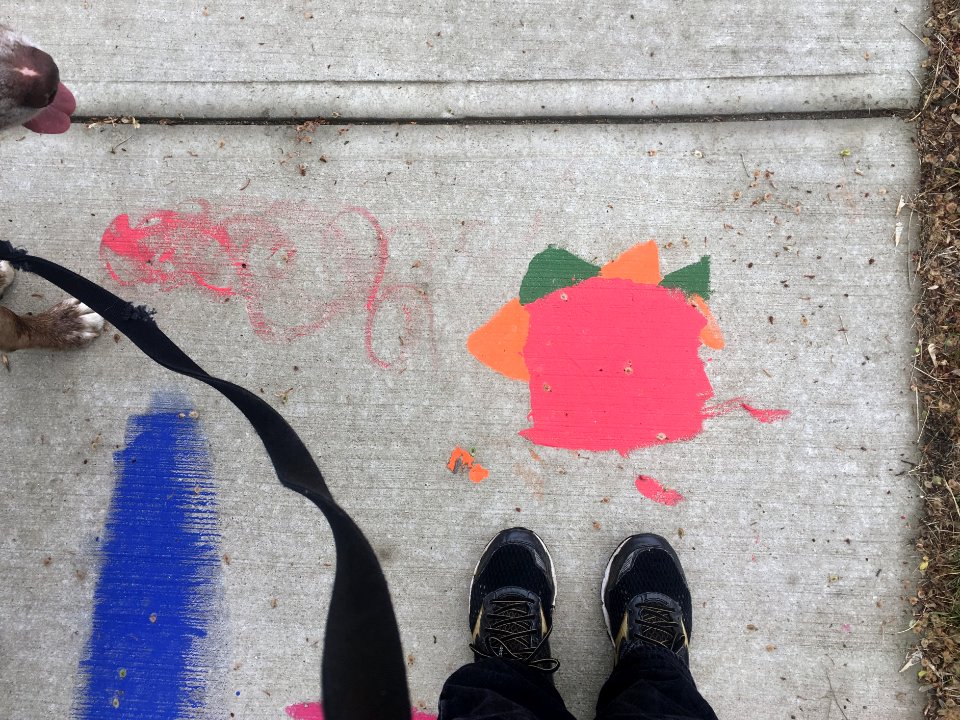 2018/365/144 Hey Felix, Look Down