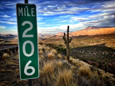 Is There a DS206 Ahead? photo