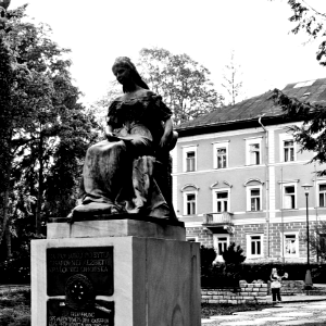 IMG 8801 (upraveno)