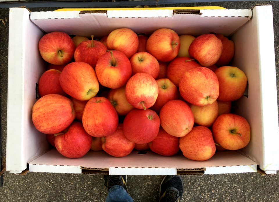 Apples Meet Your Sauce / Pie Maker