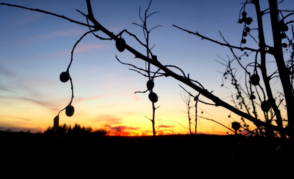 Sunset Beads
