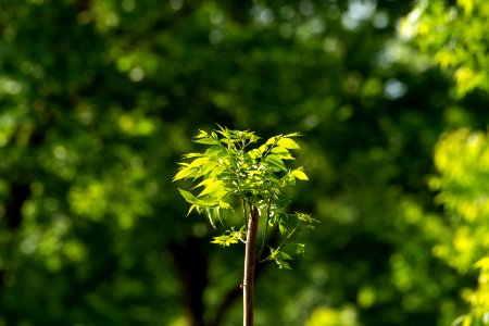 20190508-OSEC-LSC-0194