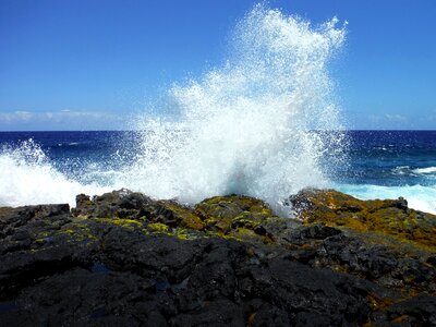 Hawaii summer sea