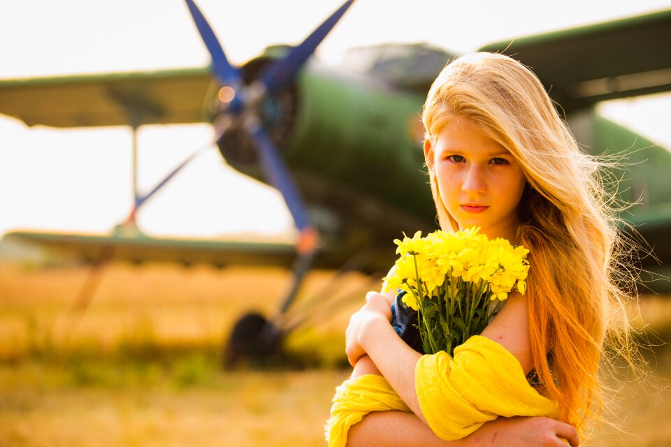Summer yellow flowers