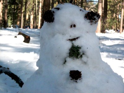 Soul Patch Snow Man
