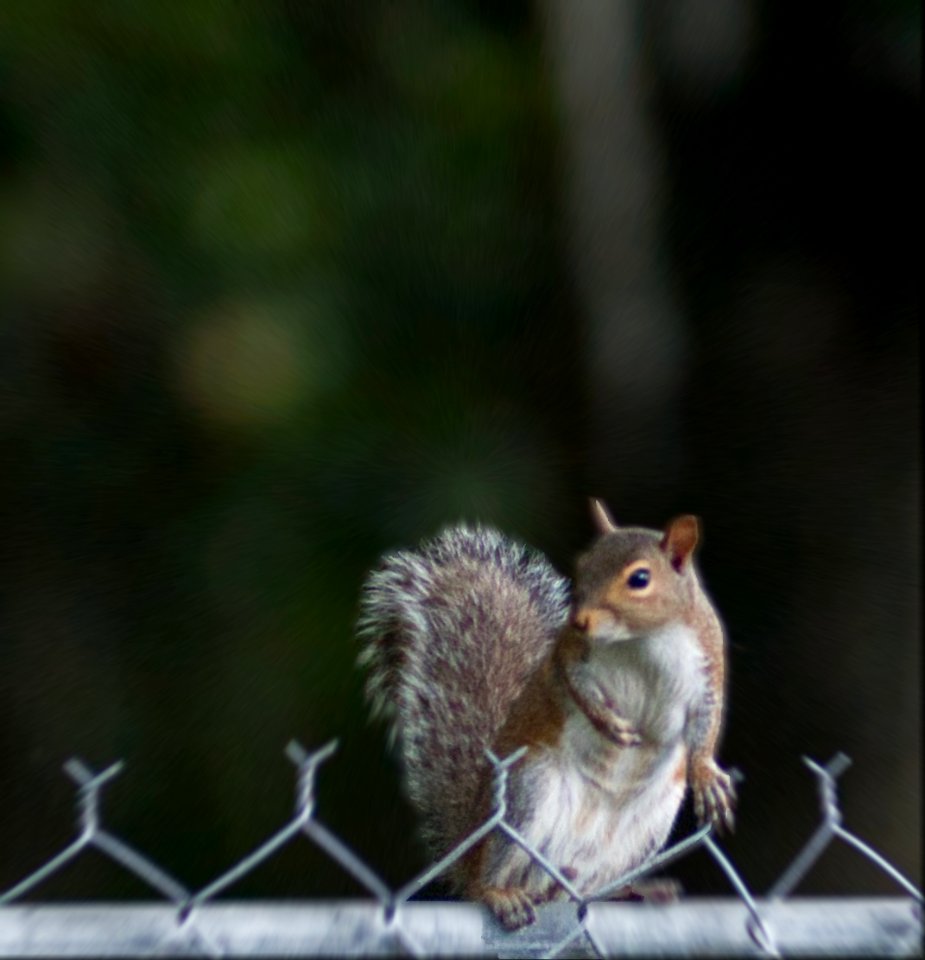 Looking at me.