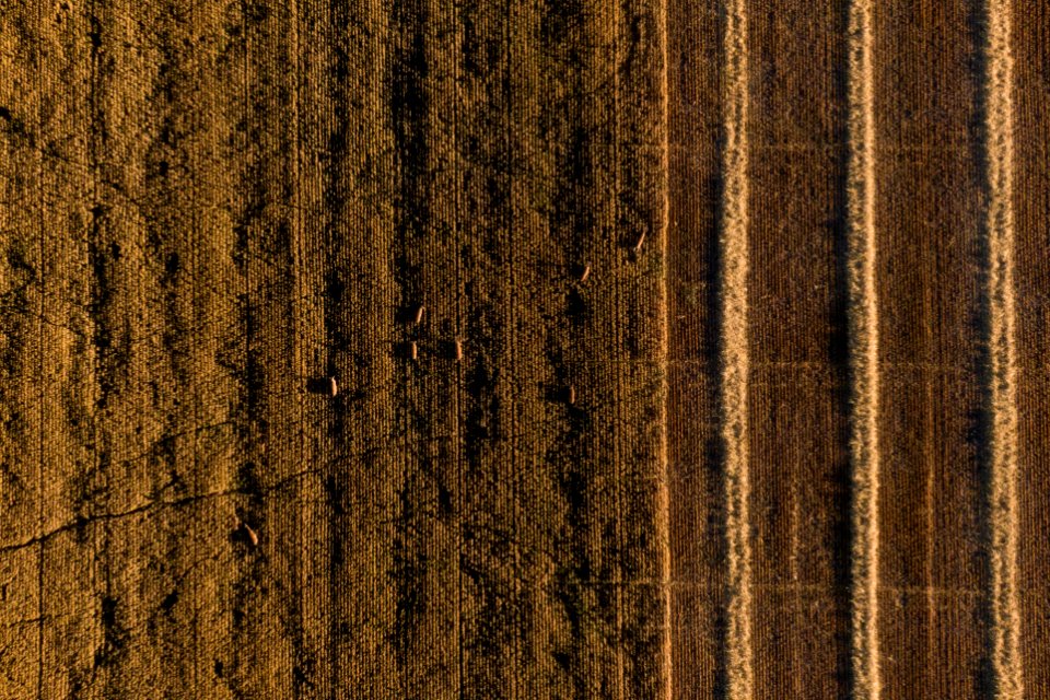 20190829-NRCS-LSC-0945