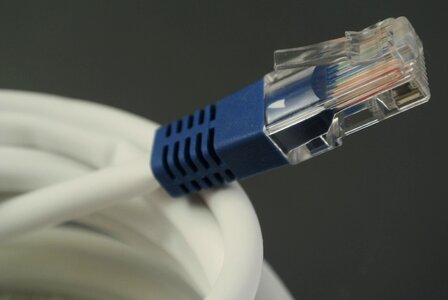 Network cable plug photo