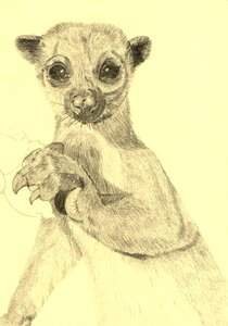 Pencil art artwork