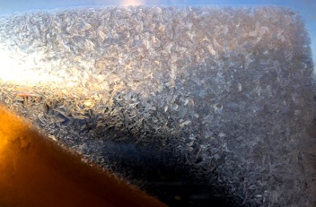 New Day Through the Garage Door