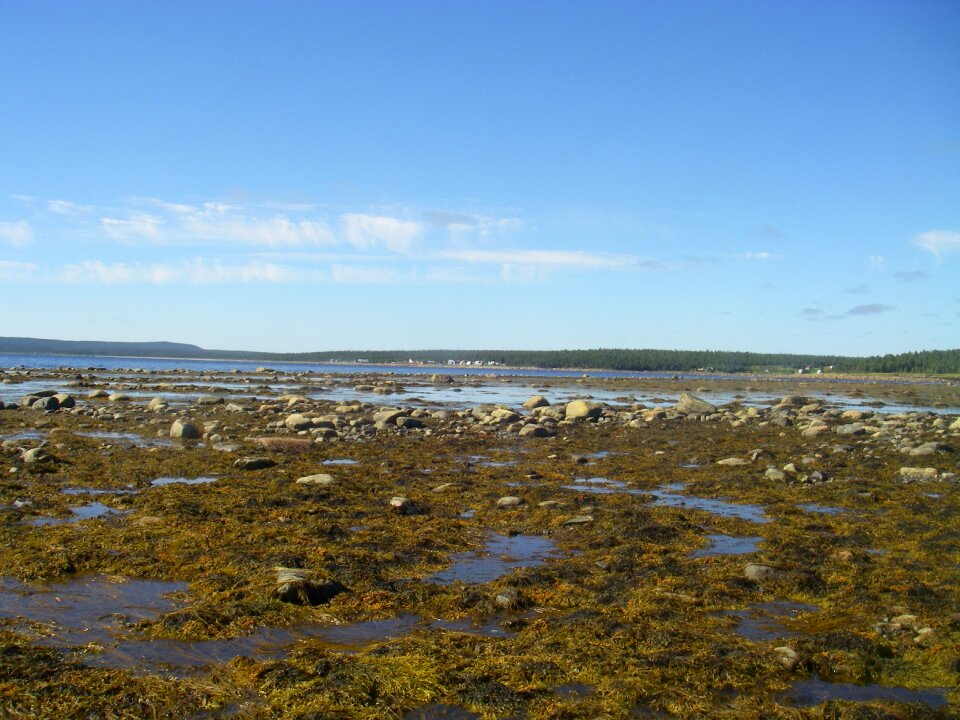 Sea low tide seascape