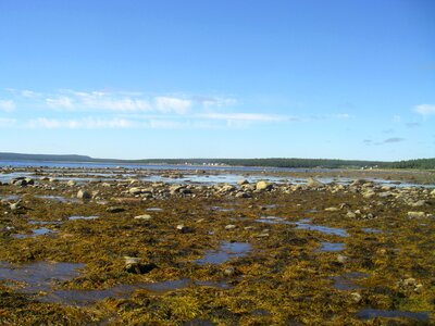 Sea low tide seascape photo