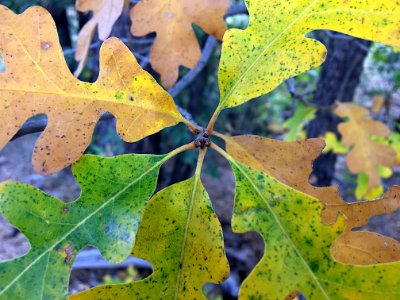 2016/366/283 A Matter of Time / A Time That Matters photo