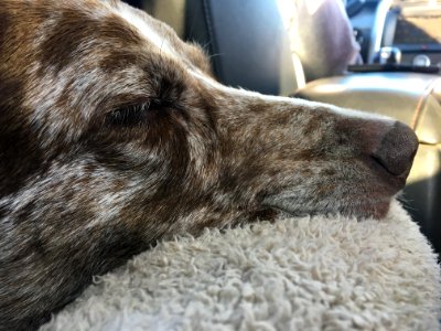 After a Long Day At the Beach...