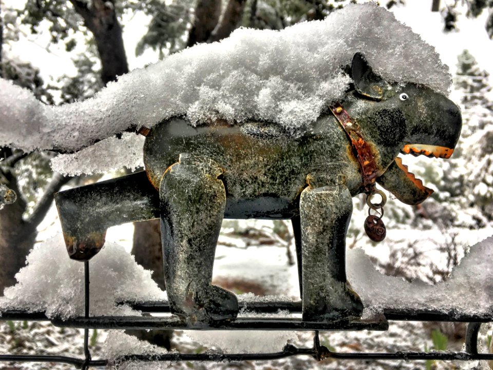 Spike Has His Snow On
