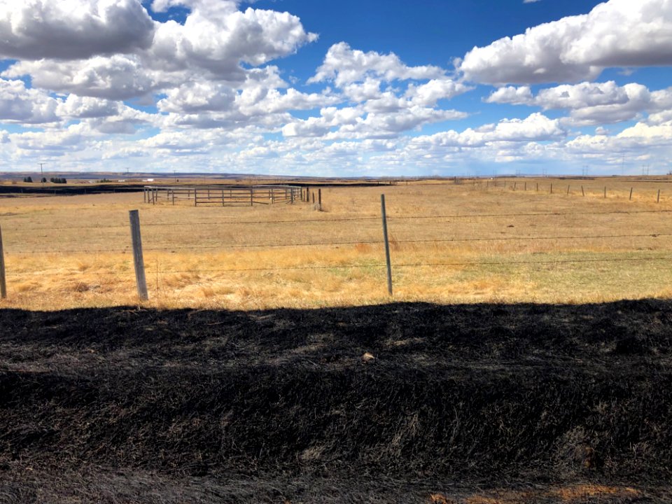 Sky, Prairie, Ash
