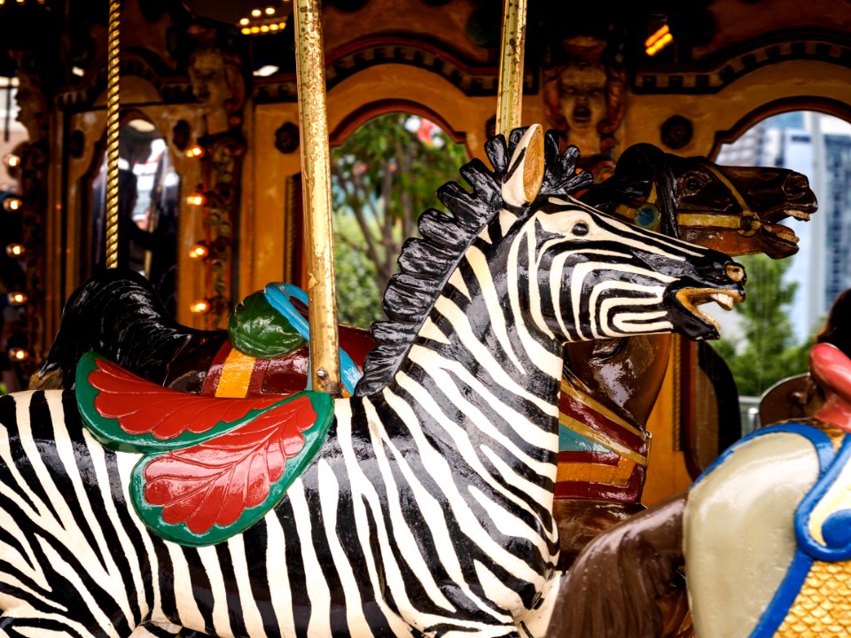 carousel zebra