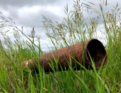 Spy i the Grass