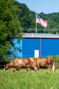 20190627-NRCS-LSC-0333