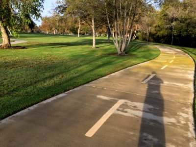 Where are the desire lines?