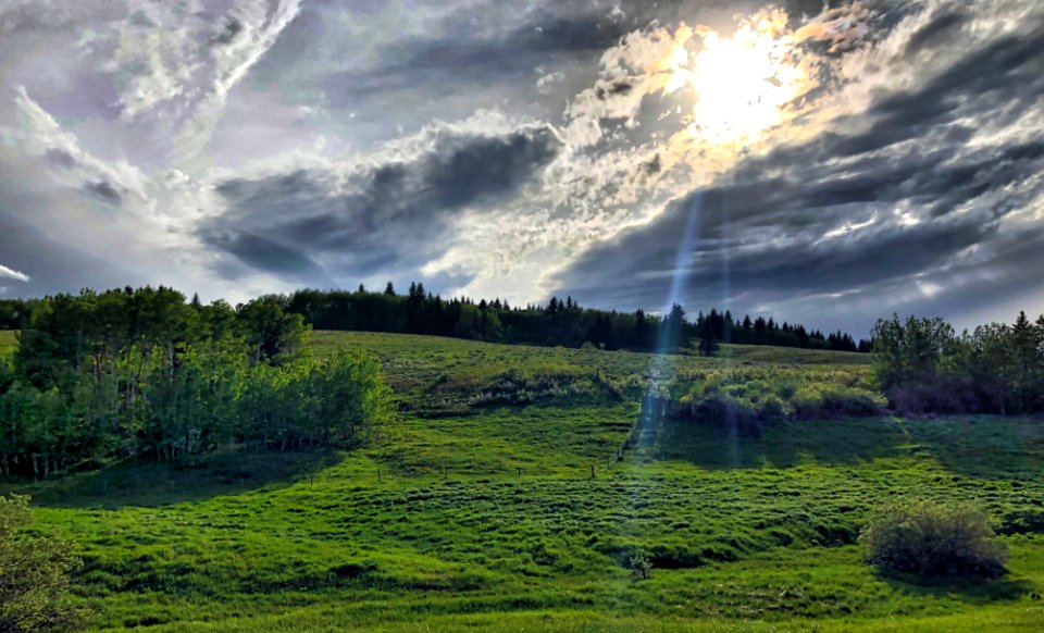 Surreal Cypress Hills Sky