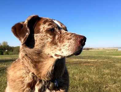 Noble Profile in Action