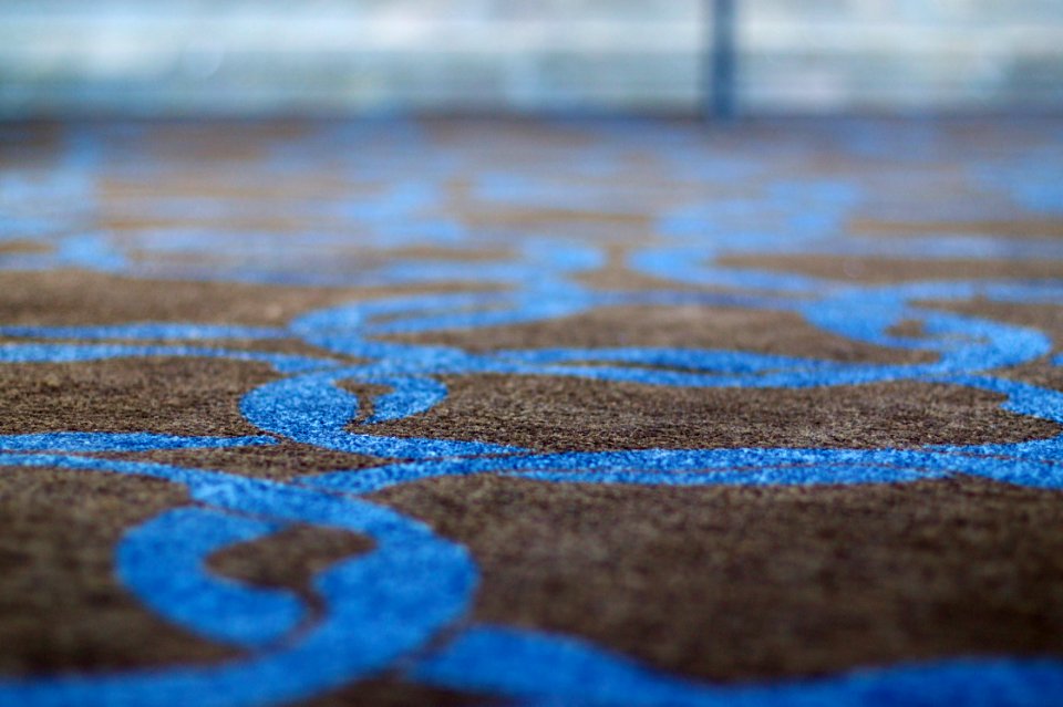 Life on the Carpet