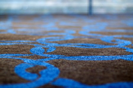 Life on the Carpet