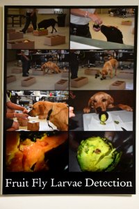 20190405-OSEC-LSC-0499