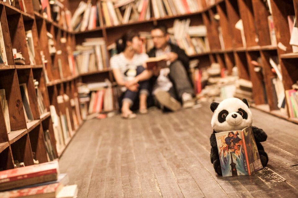 Library couples panda