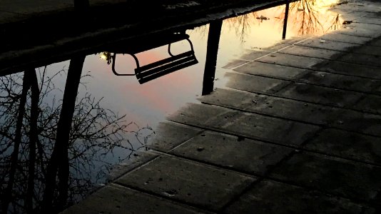 2019/365/78 Puddle Alt World