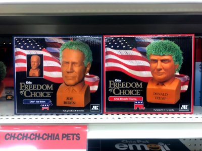 Finally, a Fair Way to Run an Election
