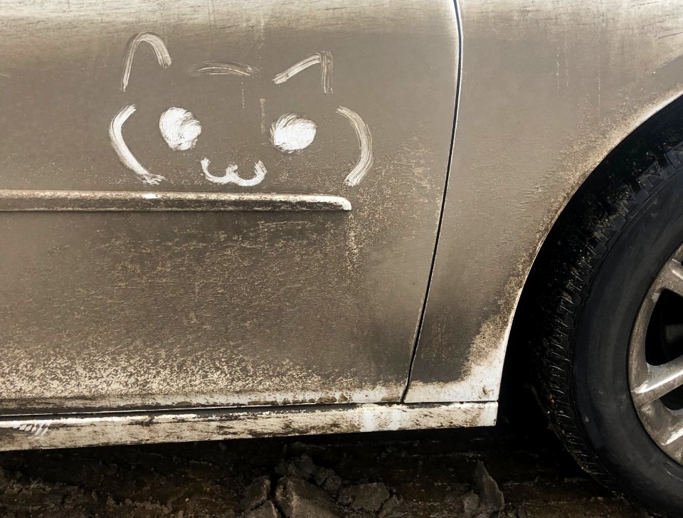 The Adventures of Dirty Kar Kat