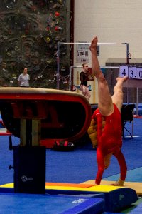 Lori Gillan 2019-02-19- Gymnastics Ladies-12