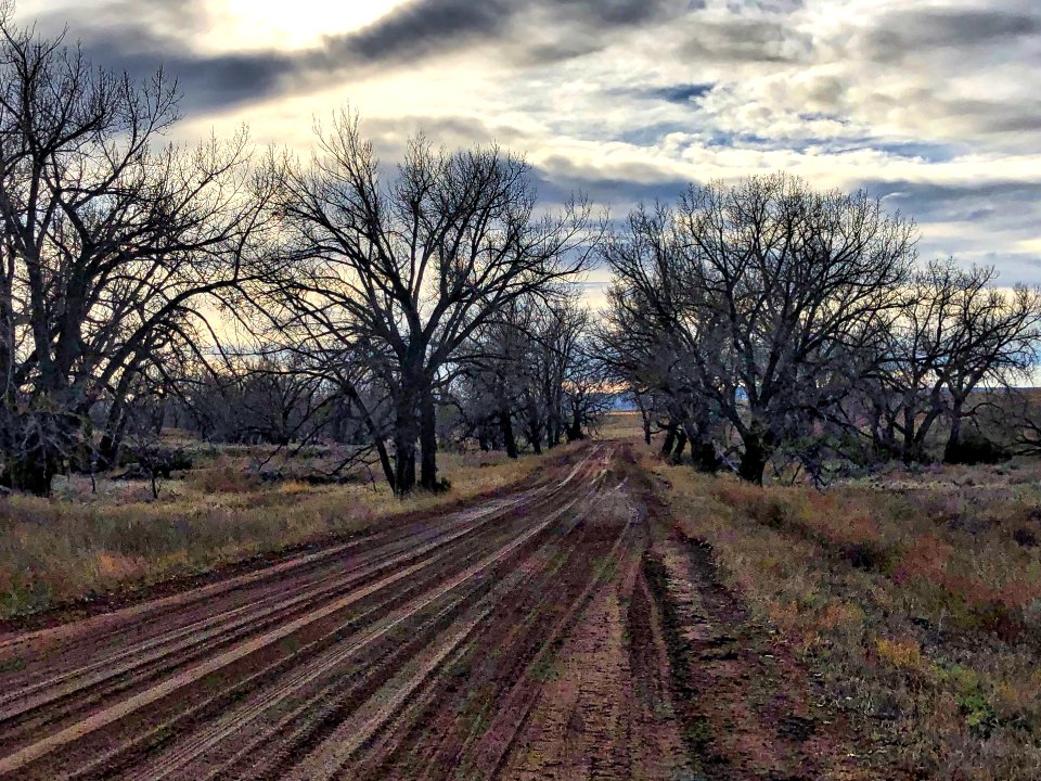 The Road to Unexpected Places