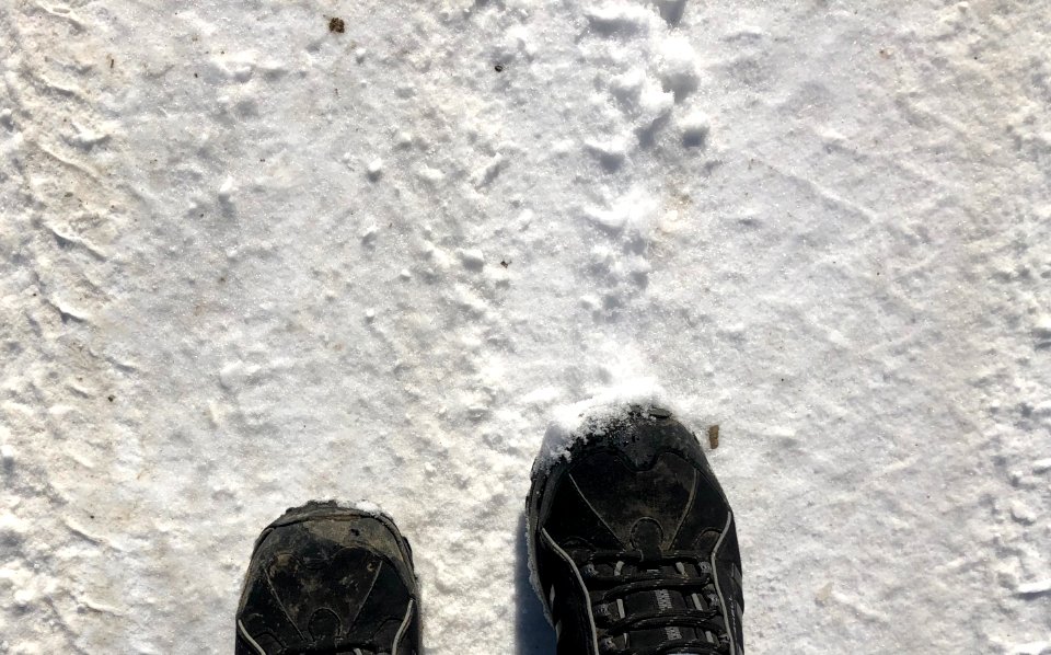 Still Walking On Snow