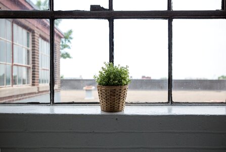Decor design natural