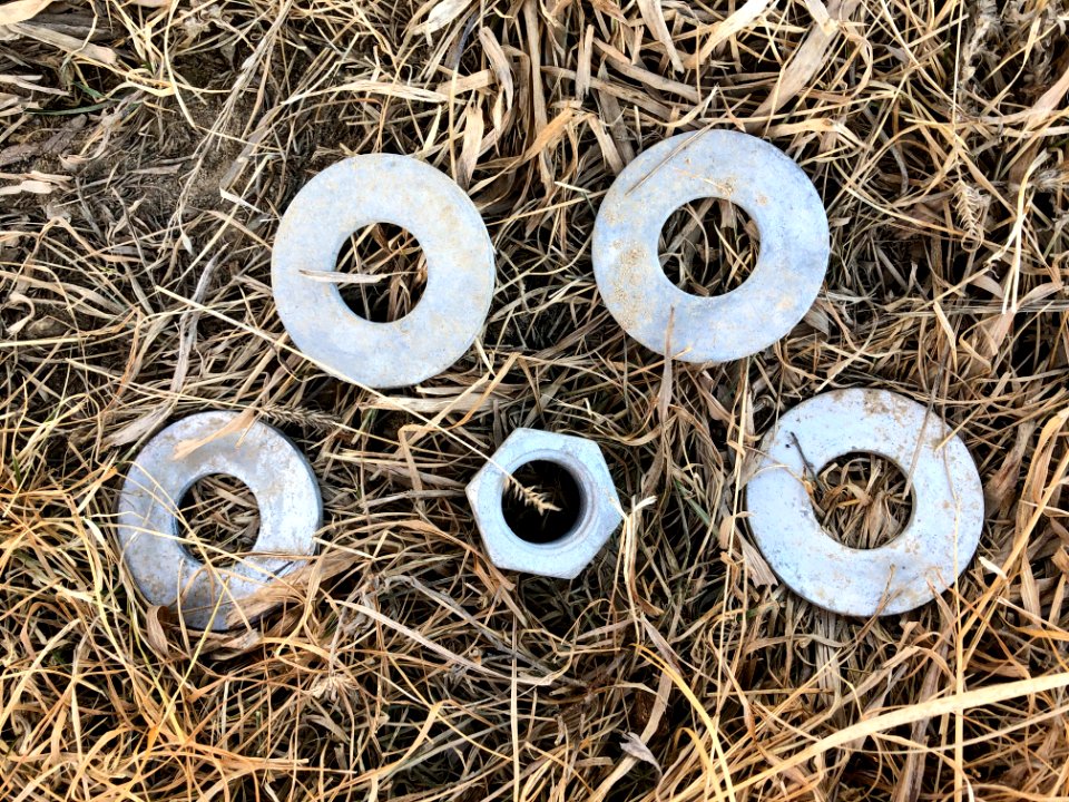 In Search of Bolts